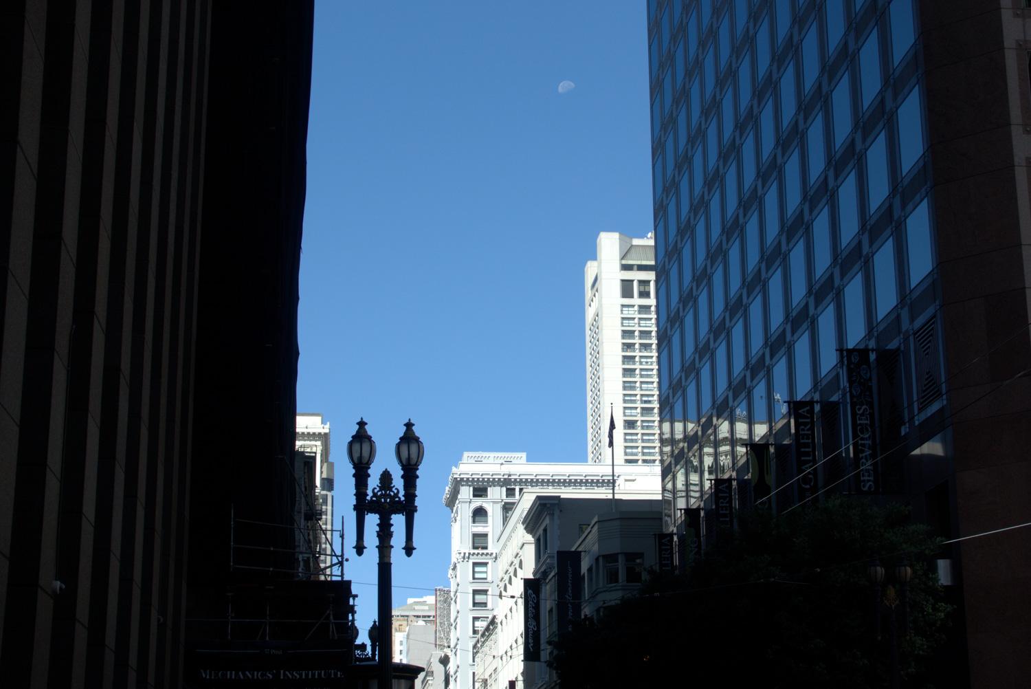 Downtown buildings with moon